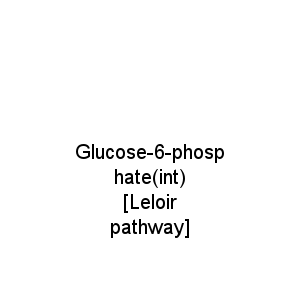 Glucose-6-phosphate(int) [Leloir pathway]